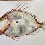 John Dory
