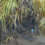 Resting in the Reeds