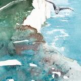 COMING IN TO LAND BY JANET BALLARD