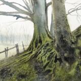 untitled-dkWE0LhYYEM