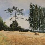 Sussex haybales (II)