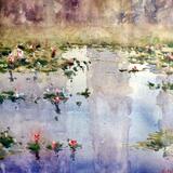 Waterlilies 
