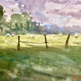 Fresh moments of the spring 