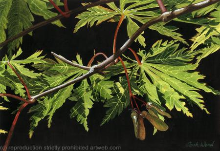 Summer Days. Giclee Print