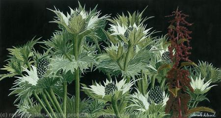Sea Holly and Nettle. Giclee Print