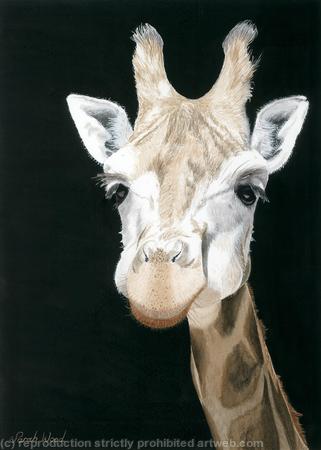 Don't I Look Cute. Giclee Print