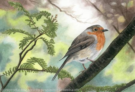 Bob Bob Bobbin, Original watercolour and gouache art work