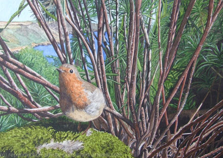 Robin at Overbecks, Original Watercolour and Gouache Art Work.