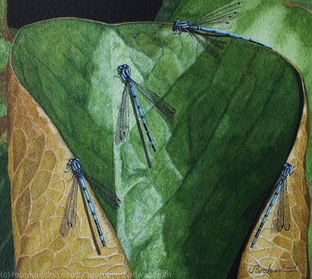 Damselfly Meeting, Original watercolour and gouache art work
