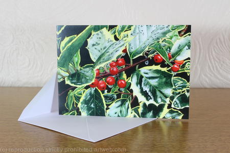 Holly, Ilex aquifolium