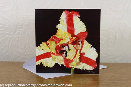 Tulipa Estella Rijnveld