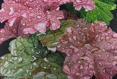 Heuchera leaves with raindrops Original art work