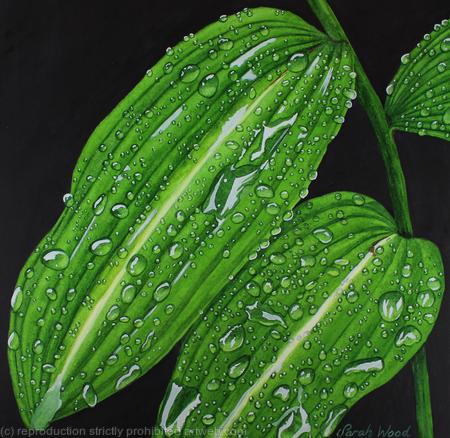 Rain, rain and more rain. Original art work