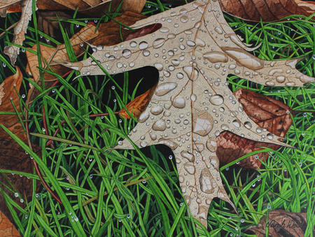 Quercus, Oak Leaf original watercolour and gouache art work