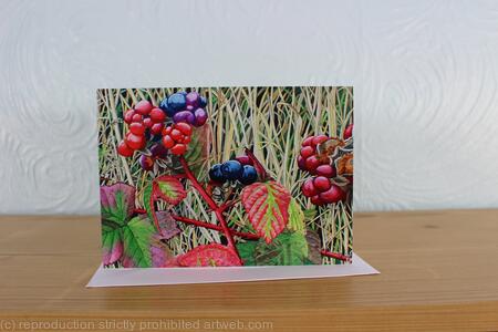 Rubus fruticosus, Bramble