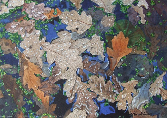 'Floating Oak Leaves', Original Watercolour and Gouache Art Work.