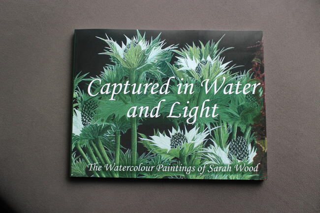 Captured in Water and Light