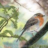 Bob Bob Bobbin. Giclee Print