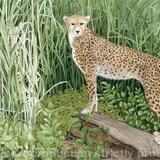 Spots and Stripes. Giclee Print