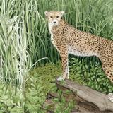 Spots and Stripes original watercolour and gouache art work