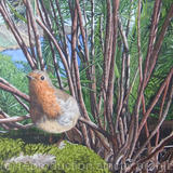 Robin at Overbecks, Original Watercolour and Gouache Art Work.