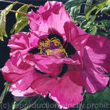 Paeonia, Watercolour & gouache Original Art Work