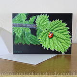 Nettle and Seven Spot Ladybird