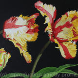 Tulipa Estella Rijnveld, Original watercolour and gouache art work.