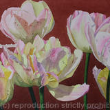 Tulipa Peaches and Cream, Original watercolour and gouache art work.