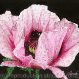 Poppy Papaver, Giclee Print