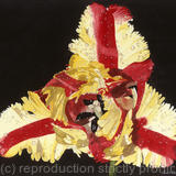 Tulipa Estella Rijnveld, single flower, Giclee Print