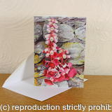 Umbilicus rupestris Navelwort