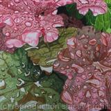 Heuchera leaves with raindrops Original art work