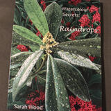 Watercolour Secrets: Raindrops