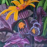 Ligularia 'King Kong' Leopard Plant