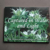 Captured in Water and Light