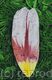 Tulip Petal