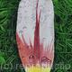 Tulip Petal