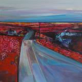 Ground flora, Widdop road.