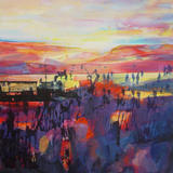 Midsummer, Shackleton Moor 3. 