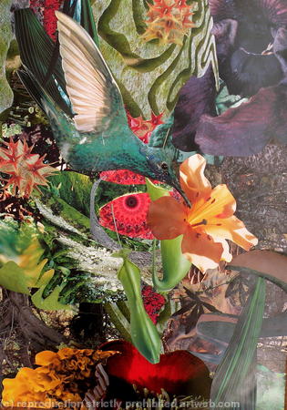 It's a jungle in there