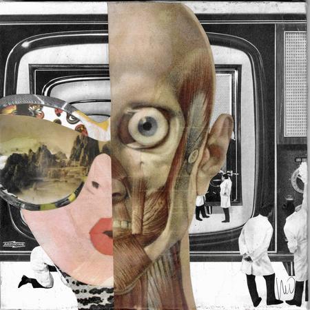 Homo  Consumericus 1