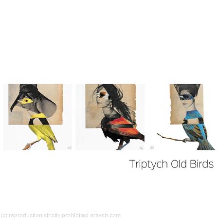 Triptych Old Birds