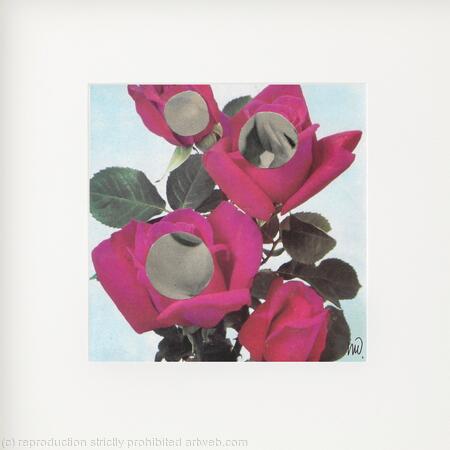 Behind the Roses (Right)