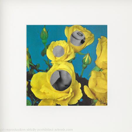 Behind the Roses (Left)