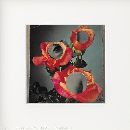 Behind the Roses ( Middle)