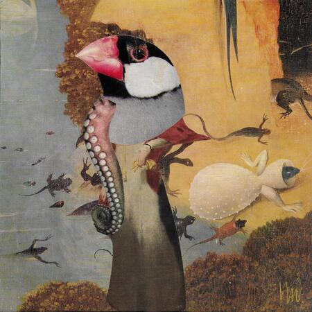 Birds on Bosch 1