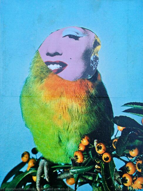 Marilyn Bird