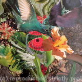 It's a jungle in there