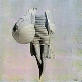 Queen of Camouflage 7